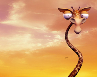 Giraffe long neck face sunset - a giraffe free wallpaper