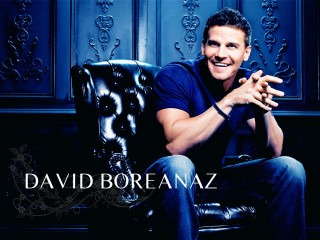 Man sitting chair hands crossed - a blue background behind free wallpaper