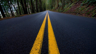 Yellow line forest road night - path free wallpaper