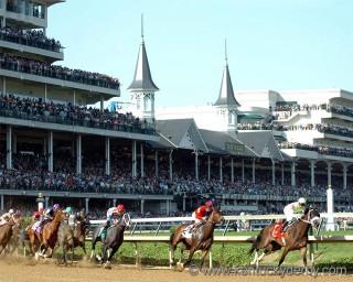 Horses racing track crowd stands - the stand free wallpaper for desktop