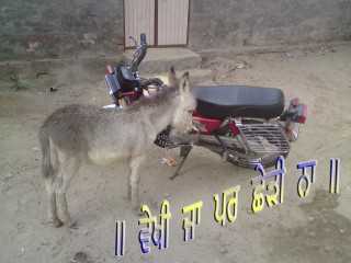 Donkey motorcycle dirt lot transportation - adobe photoshop free wallpaper for desktop