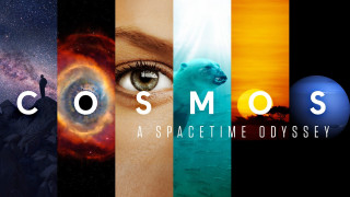 Cosmos collage woman face images - the middle of them free wallpaper