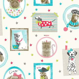 Dog cat picture frame wallpaper 2 - free dogs wallpaper for tablet