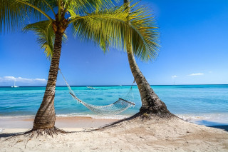 Hammock palm trees beach boat - two palm tree free wallpaper