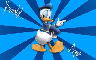 Cartoon duck hat blue background 5 - a cartoon duck free wallpaper