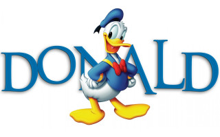Cartoon donald duck bow tie - his chest free wallpaper