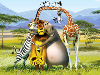 Animals field giraffe zebra mountain - a group of animals free wallpaper