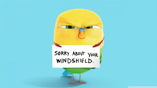 Bird sorry sign shield verdadism - shield free wallpaper