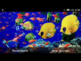 Fish swimming aquarium blue water - a group of fish swimming free wallpaper