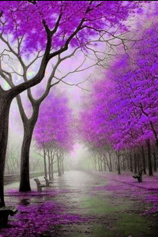 Park purple trees benches rain - impressionism free wallpaper for mobile