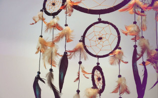 Feathers ceiling clock wall window - a window free wallpaper