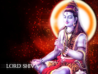 Lord shiva lotus red background - a lotus free wallpaper