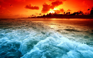 Sunset ocean waves beach palm 5 - vibrant color free wallpaper