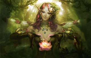 Woman dragon flower forest fantasy - her shoulder free wallpaper