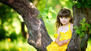 Little girl yellow dress tree - a yellow dress free wallpaper