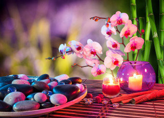 Plate rocks candle table flowers - cindy wright free wallpaper for desktop