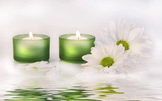 Green candles white flowers reflective - a reflective surface free wallpaper