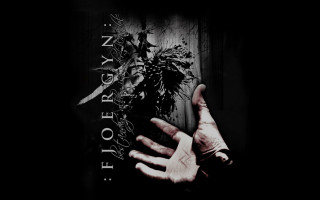 Person holding plant story back - album cover free wallpaper