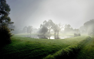 Foggy field pond trees distance - a pond and trees free wallpaper