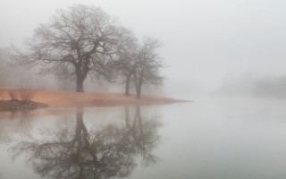 Foggy lake trees hill background - tree and a hill in the background free wallpaper