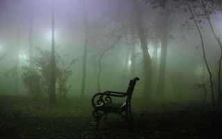 Bench forest fog lights trees - fog in the background free wallpaper