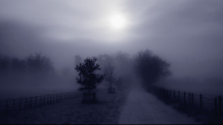 Foggy road tree fence sun - volumetric fog free wallpaper