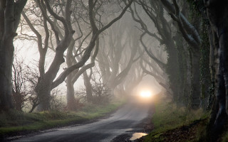 Car driving road trees foggy - brian dunlop free wallpaper