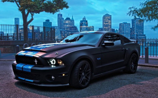 Black mustang blue stripe city 2 - a blue stripe free wallpaper