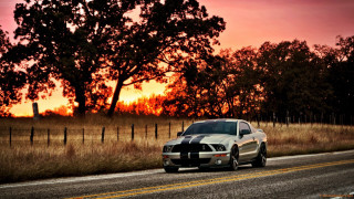 Car driving road sunset trees - a sunset in the background and trees free wallpaper