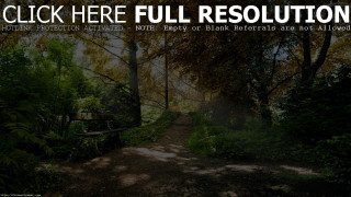 Forest path bench sign nature - a path in a forest free wallpaper