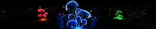 Glowing mushrooms dark forest trees - mushroom free wallpaper