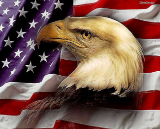 Bald eagle flag background image - this image free wallpaper