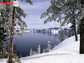 Lake snowy hill trees foreground - beautiful free wallpaper