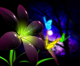 Flower butterfly night sky tree - rich color free wallpaper