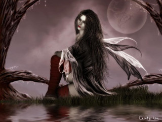 Woman long hair field lake - a field next free wallpaper