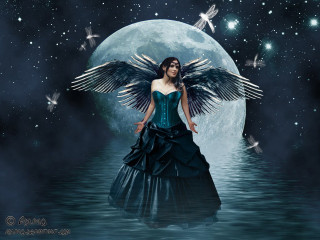 Woman dress wings water full - a woman in a dress free wallpaper