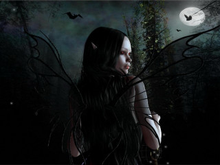 Woman cat shoulder dark forest - bat free wallpaper
