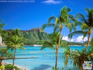 Beach palm trees people water - the water and a mountain in the background free wallpaper