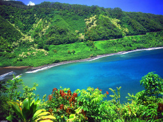 Fiji tropical ocean hills trees - lush green hill and trees free wallpaper