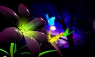 Flower butterfly night sky background 2 - rich color free wallpaper
