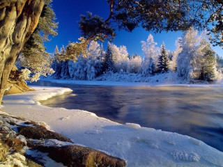 Lake snow trees ice blue 2 - ground free wallpaper