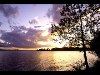 Sunset lake tree clouds sky - a tree in the foreground free wallpaper