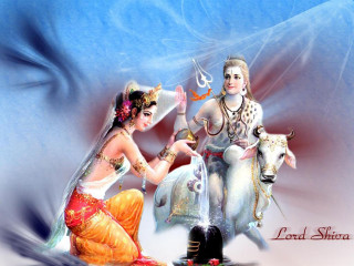 Couple horse sword man woman - a sword and a woman free wallpaper