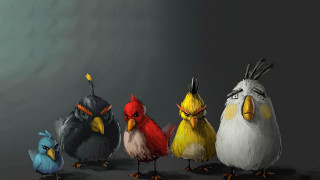 Group birds gray black white - charles bird king free wallpaper