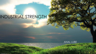 Tree sunset sky love strength - the world free wallpaper