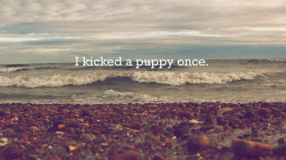 Beach quote kicked puppy once - a puppy free wallpaper