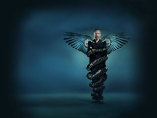 Man snake wrapped arm wings - a pose free wallpaper for desktop