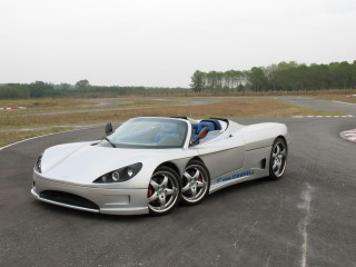 Silver cobra sports car race - single body free wallpaper