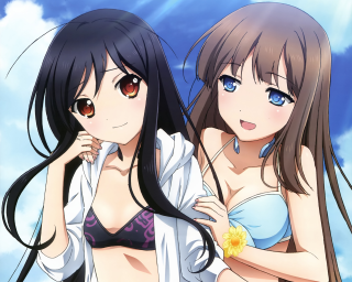 Anime girls blue sky bikini - a detailed painting free wallpaper for desktop