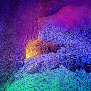 Colorful background closeup lines shapes 2 - a microscopic photo free wallpaper for tablet